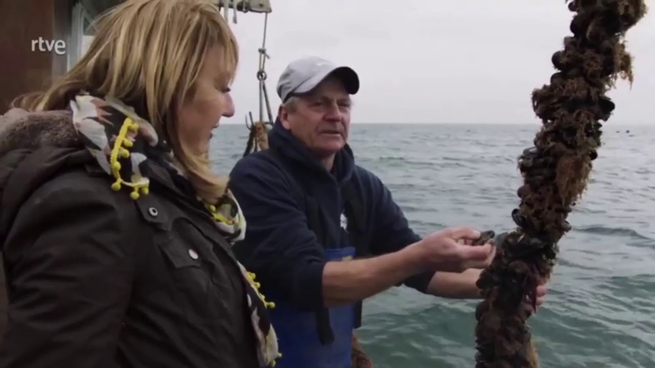 Cultivo de mejillones en el mar de Tasmania