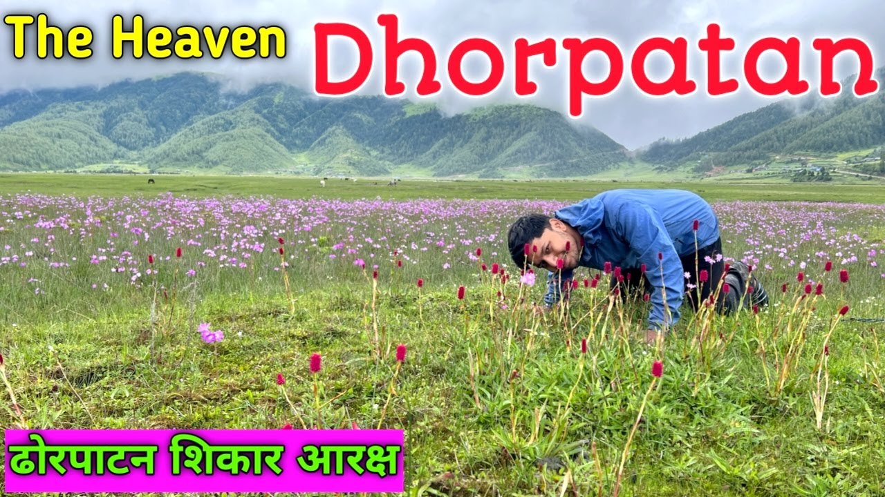 Dhorpatan | ढोरपाटन शिकार आरक्ष | Dhorpatan Hunting Reserve Baglung | Dhorpatan Vlog Ft.@RanjoEp. 6