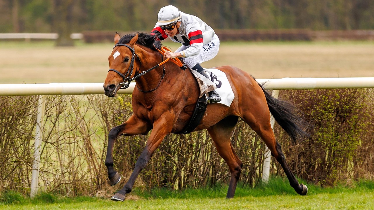 Berlin-Hoppegarten: Preis von Dahlwitz 2026 Sieger: Wilko
