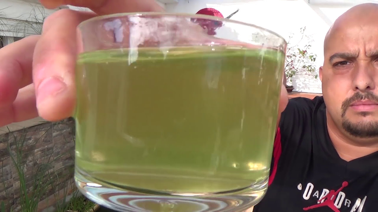 Agua verde en el estanque - Tratamiento y eliminación