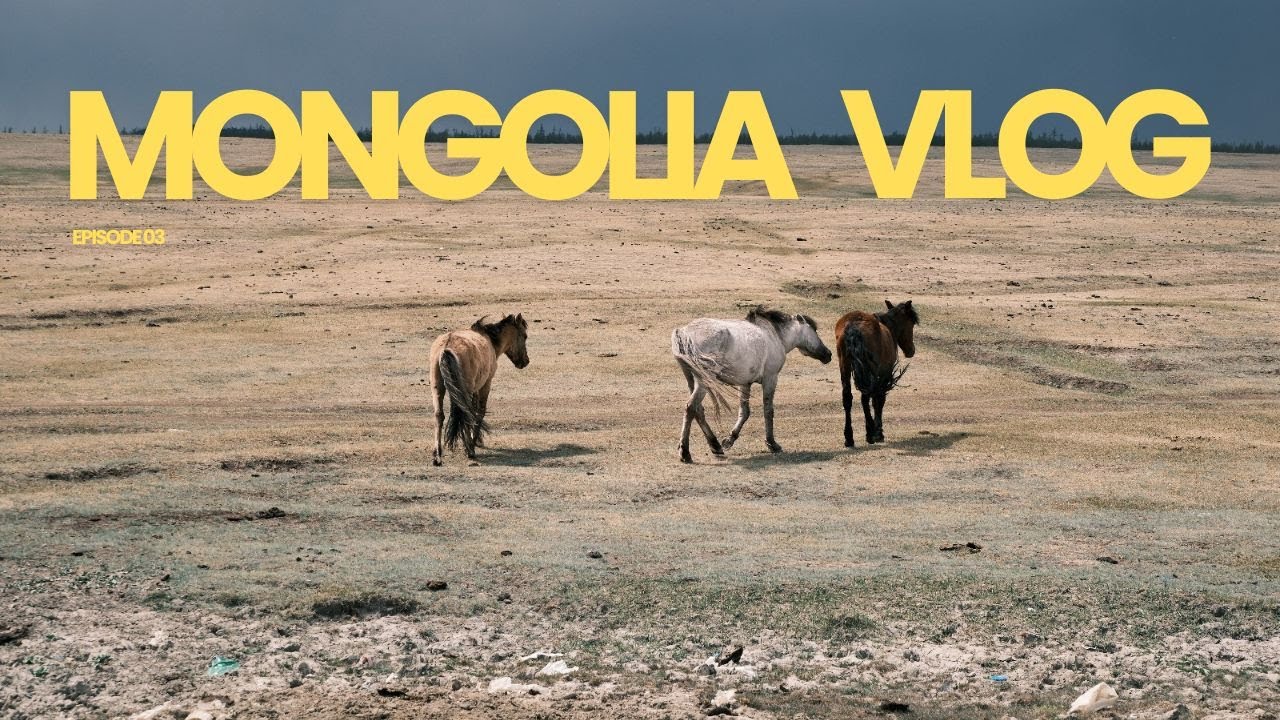 Mongolia Travel Vlog Part 3 | Khuvsgul Lake, Terelj National Park & 32 Hours on a Broken Bus