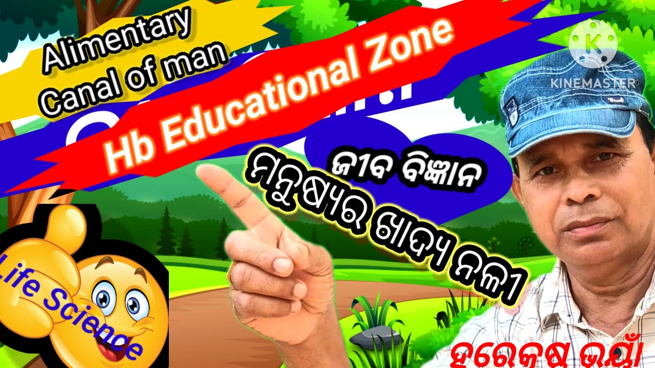 Hb Educational Zone, Different parts of alimentary canal of man, ମନୁଷ୍ୟର ପାକତନ୍ତ୍ର ଓ ଏହାର କାର୍ଯ୍ୟ