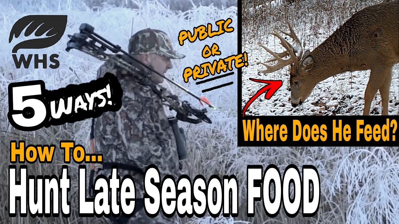 How To Hunt Late Season Food Sources