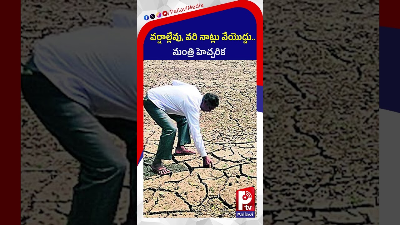 వర్షాల్లేవు, వరి నాట్లు వేయొద్దు: El Ni&ntilde;o Alert: Minister Tummala's Big Warning to Telangana Farmers
