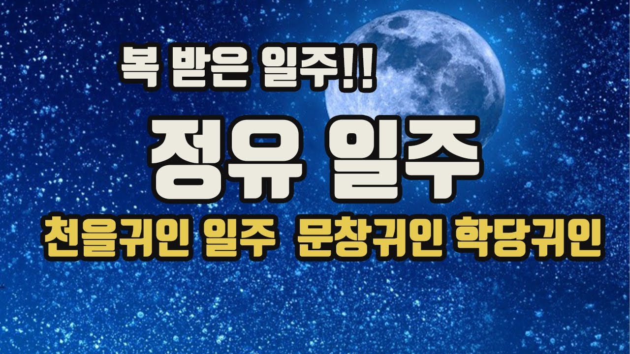 정유일주  재물 직업 건강운 성격 특징