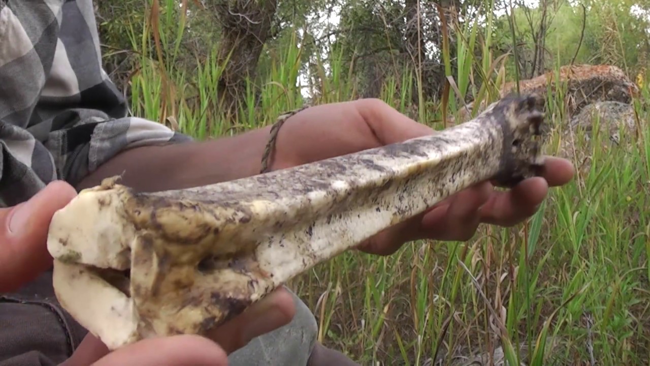 Making a Bow Using Simple Stone Age Tools