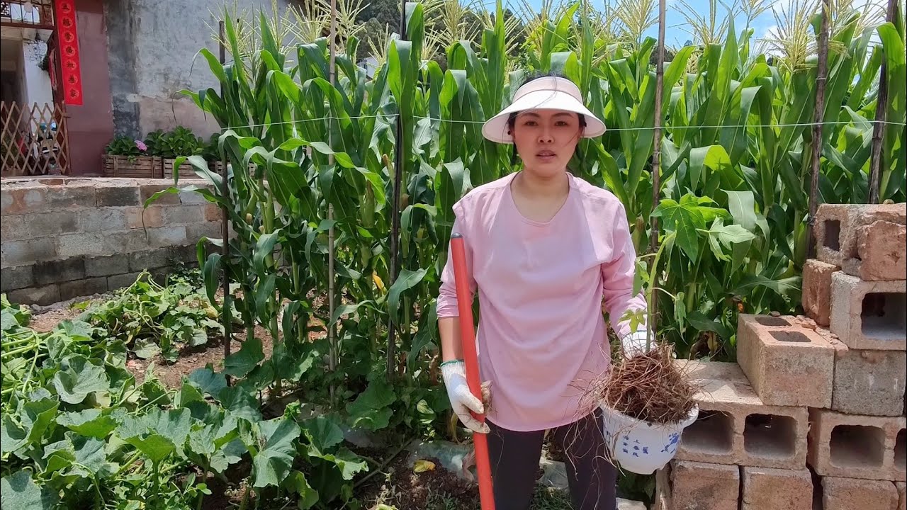定居雲南，租下10年的農村小院，改造成自己喜歡的樣子