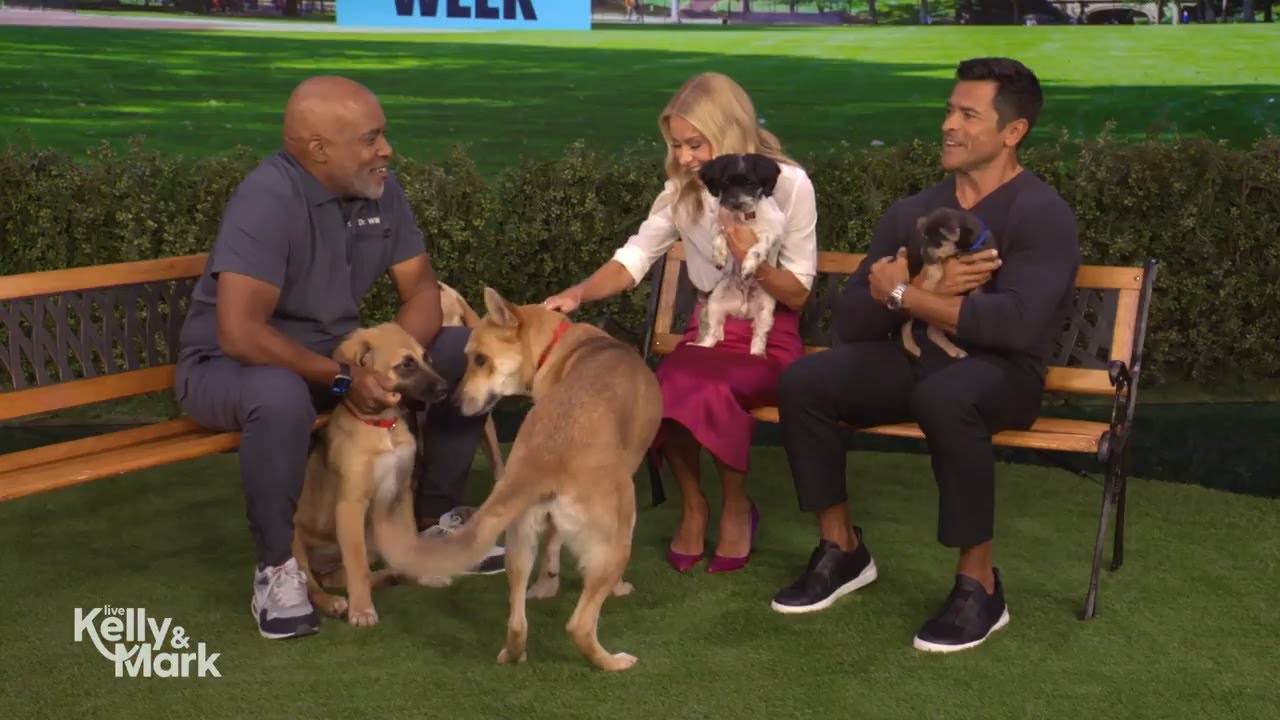 Raise the Woof Week: Doggie Do's and Don'ts with Dr. Will Draper