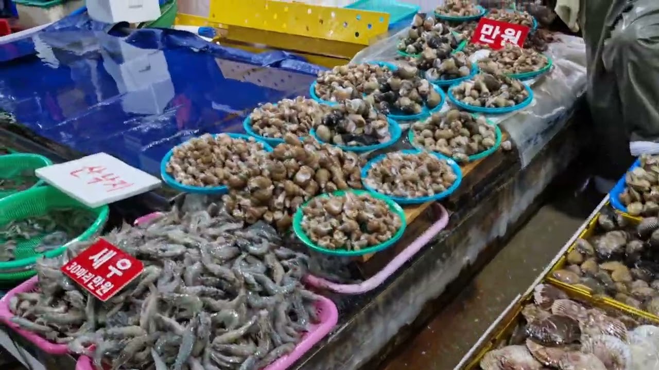 강원도 #주문진 수산시장 #안현득TV #수산물 싱싱한 #풍물어시장 사람바글바글