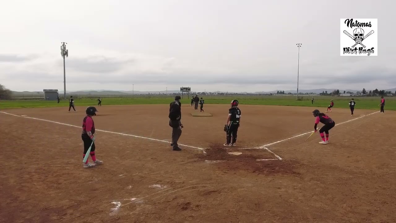 NDB 12U vs. BSN 12U