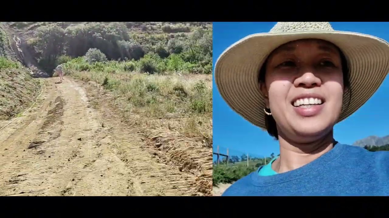 Around Boschkloof, South Africa! |Nanette Du Plessis