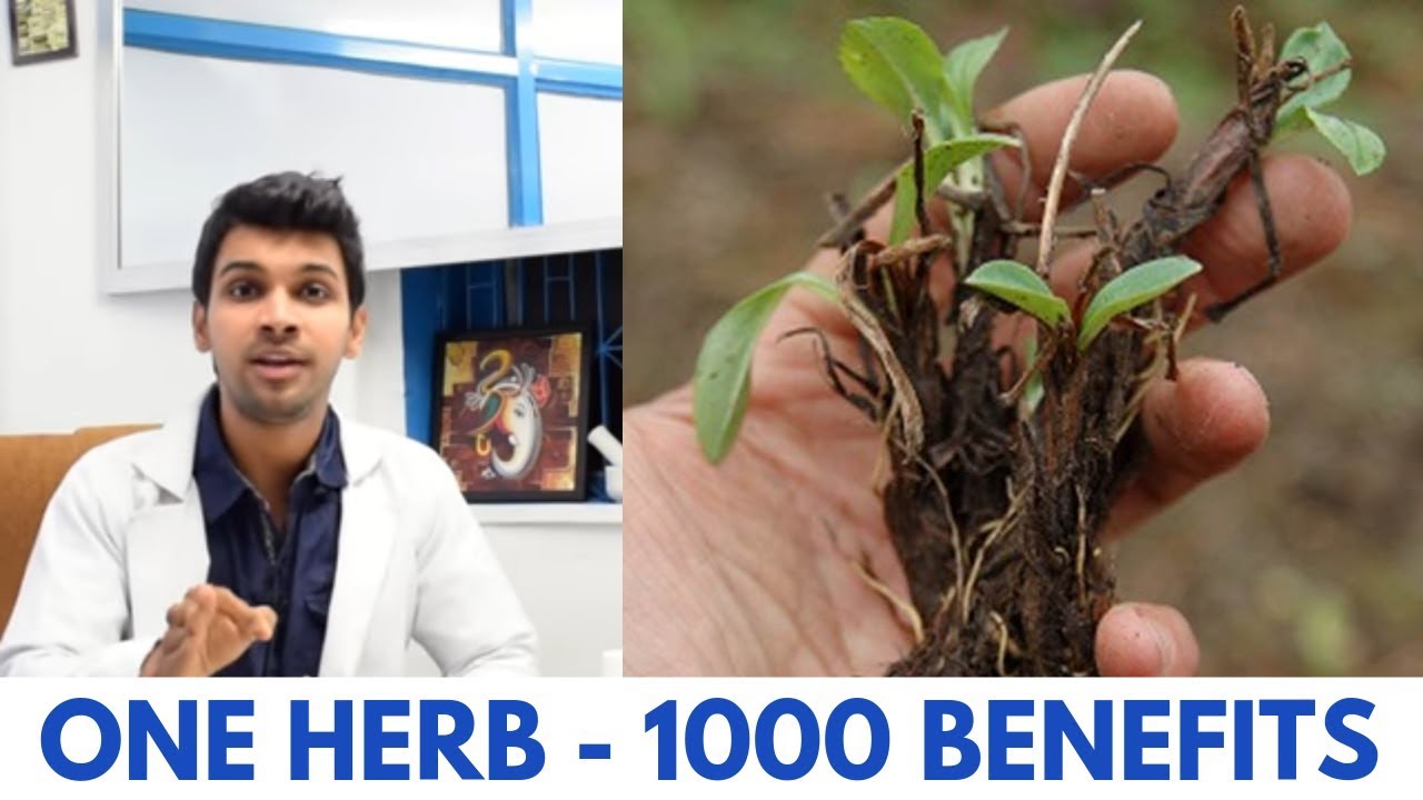 Can Stress Cause Hair Loss and Will it Grow Back ? One Herb to Stop Hair Loss Naturally in One Week