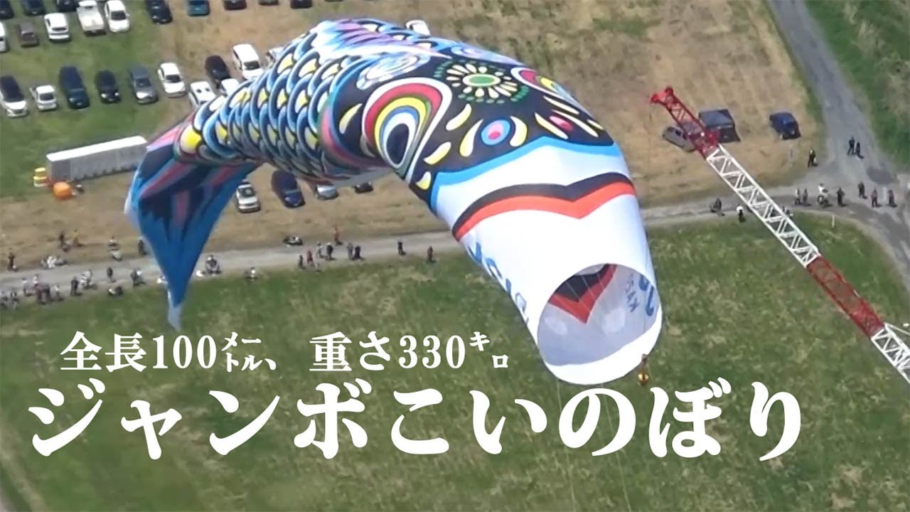 全長１００メートル、重さ３３０キロのジャンボこいのぼり、空を泳ぐ…埼玉・加須
