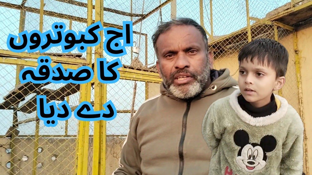 سب کبوتروں کا صدقہ اتار دیا #mastarmaanofpigons #pigeon #vilogpigeon #bird #pigeonlaver #faru