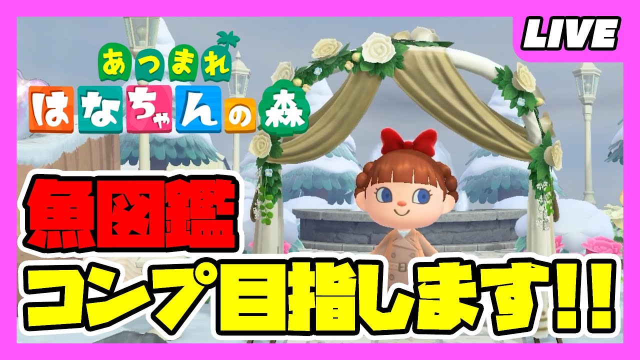 【まったり】あつまれどうぶつの森【アプデが来た!!!】