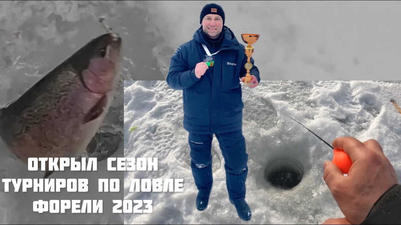 Турнир по ловле форели. Ловля прудовой форели зимой.