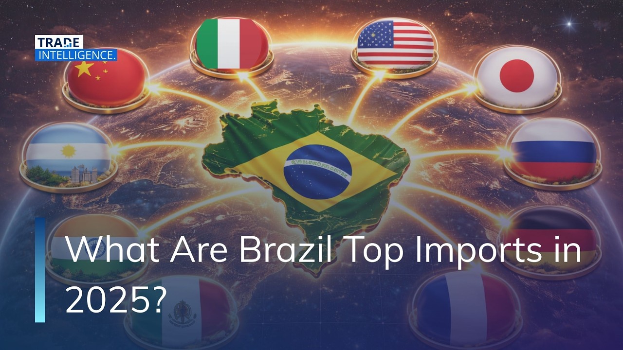 Brazil Top Imports in 2025 #brazil #import #china #machine #electronic #crudeoil