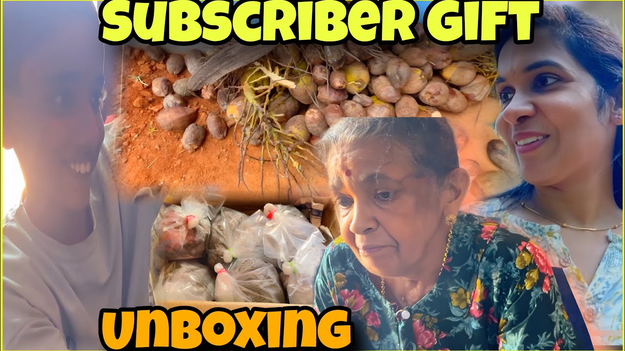 Subscriber ಕಳಿಸಿದ  gift | ಏನು ಕಳಿಸಿದರೆ ನೋಡಿ | Dolly vlogger