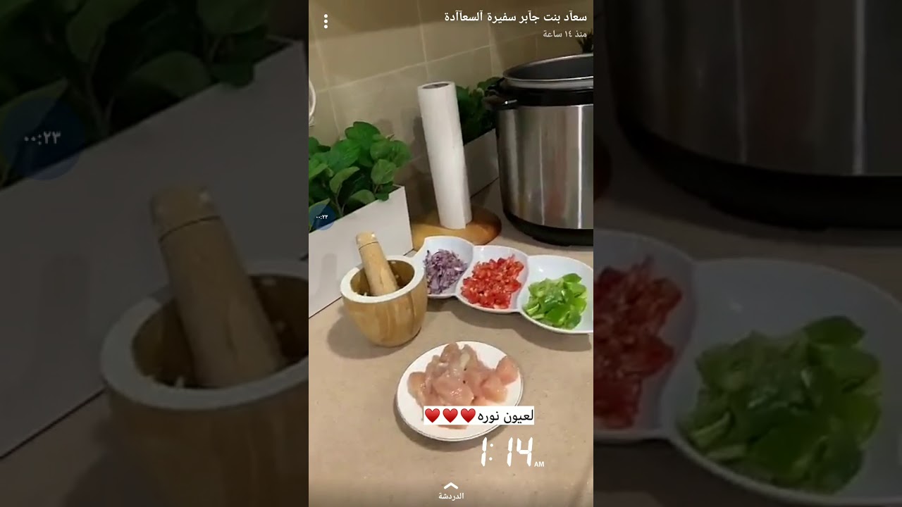 تجربة سعاد بن جابر لقدر الضغط الكهربائي اديسون من السيف غاليري