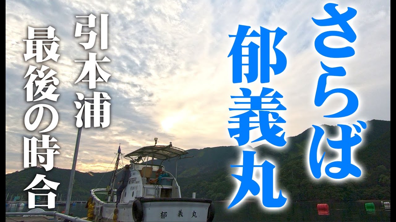 楽しいちぬ釣り #41 雨月の黒鯛かかり釣り 三重 引本浦 开心钓黑鲷 Extreme Bream Fishing