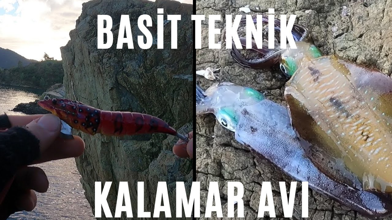 KALAMAR AVI | Kalamar Temizleme ve Marine Etme !