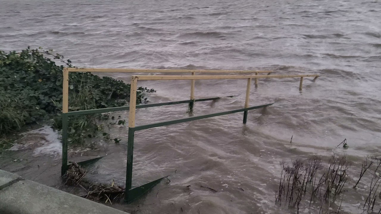 Insane Flooding Abbotsford BC Sumas Prairies - November 2021