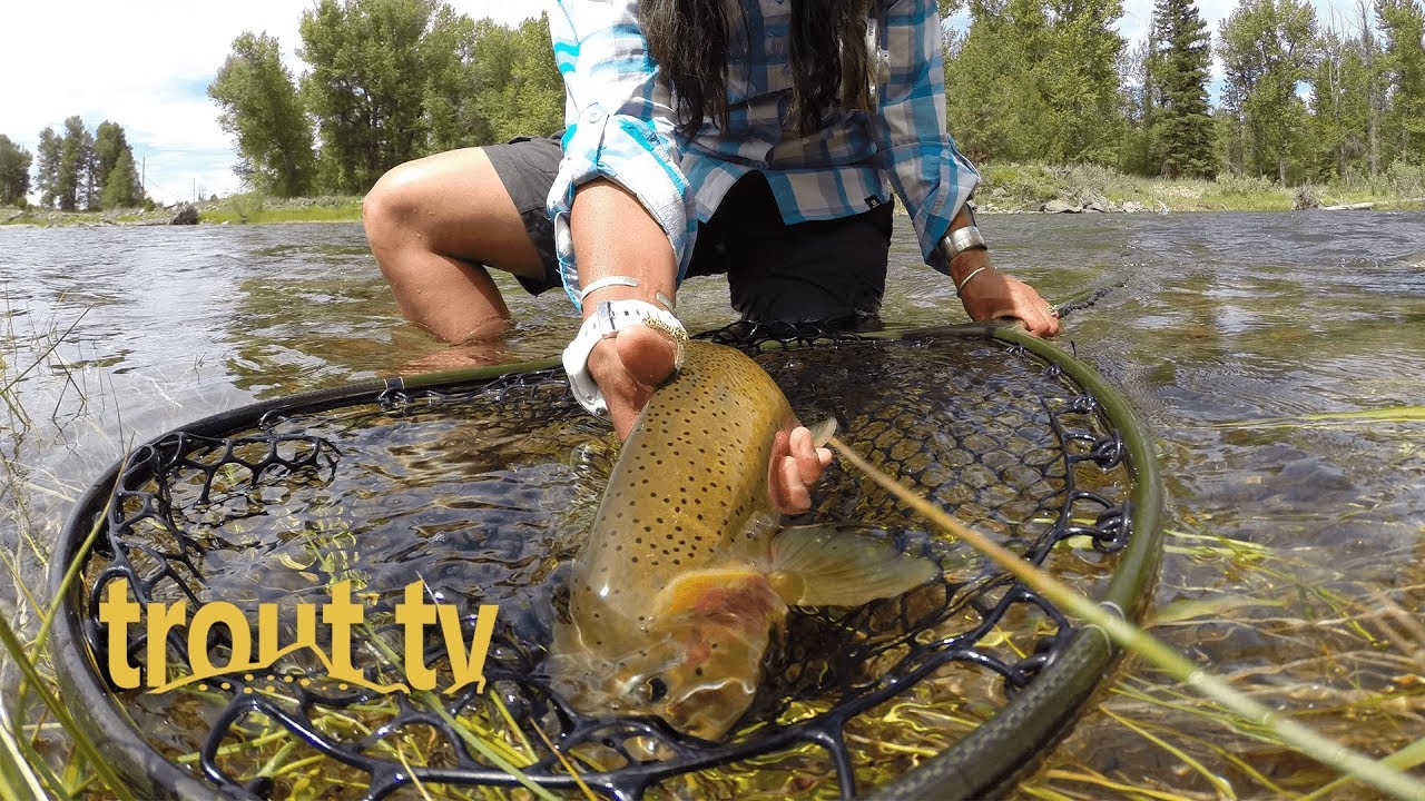 Blackfoot River on the fourth of July