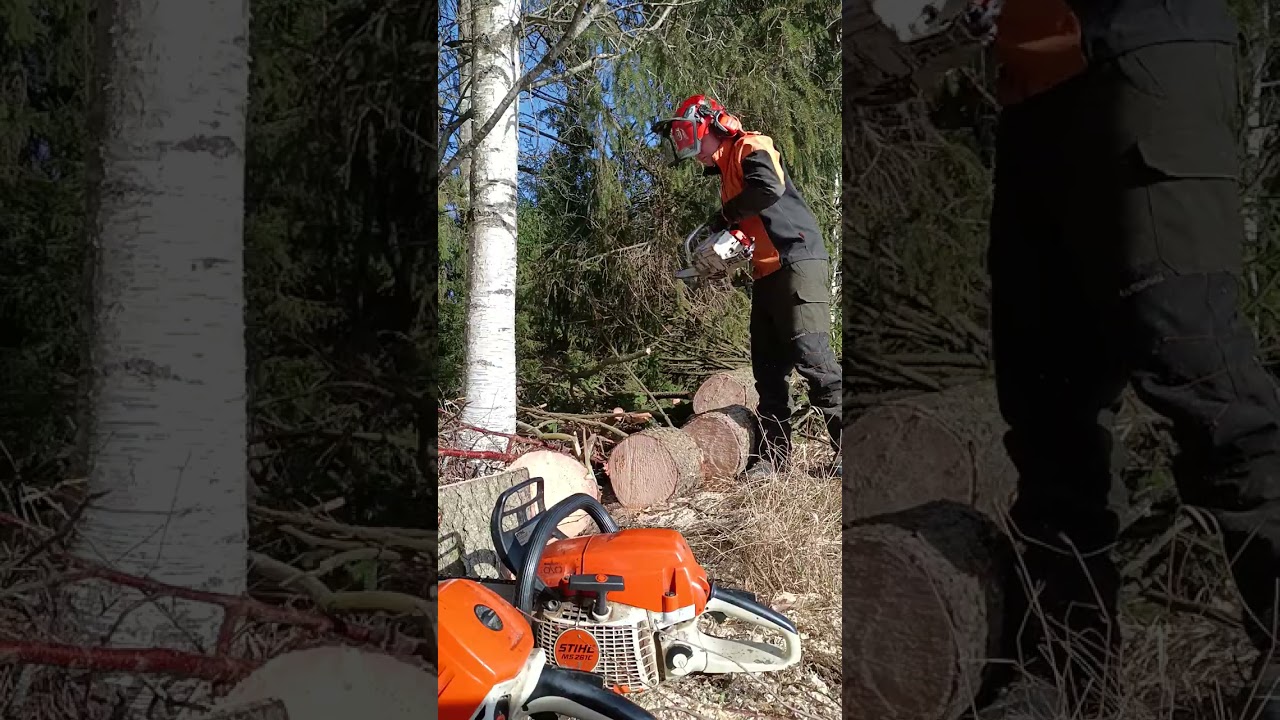 Stihl 500i vs 261 vs 031AV. 500i 6 sec/261 7 sec /031AV 11 sec.