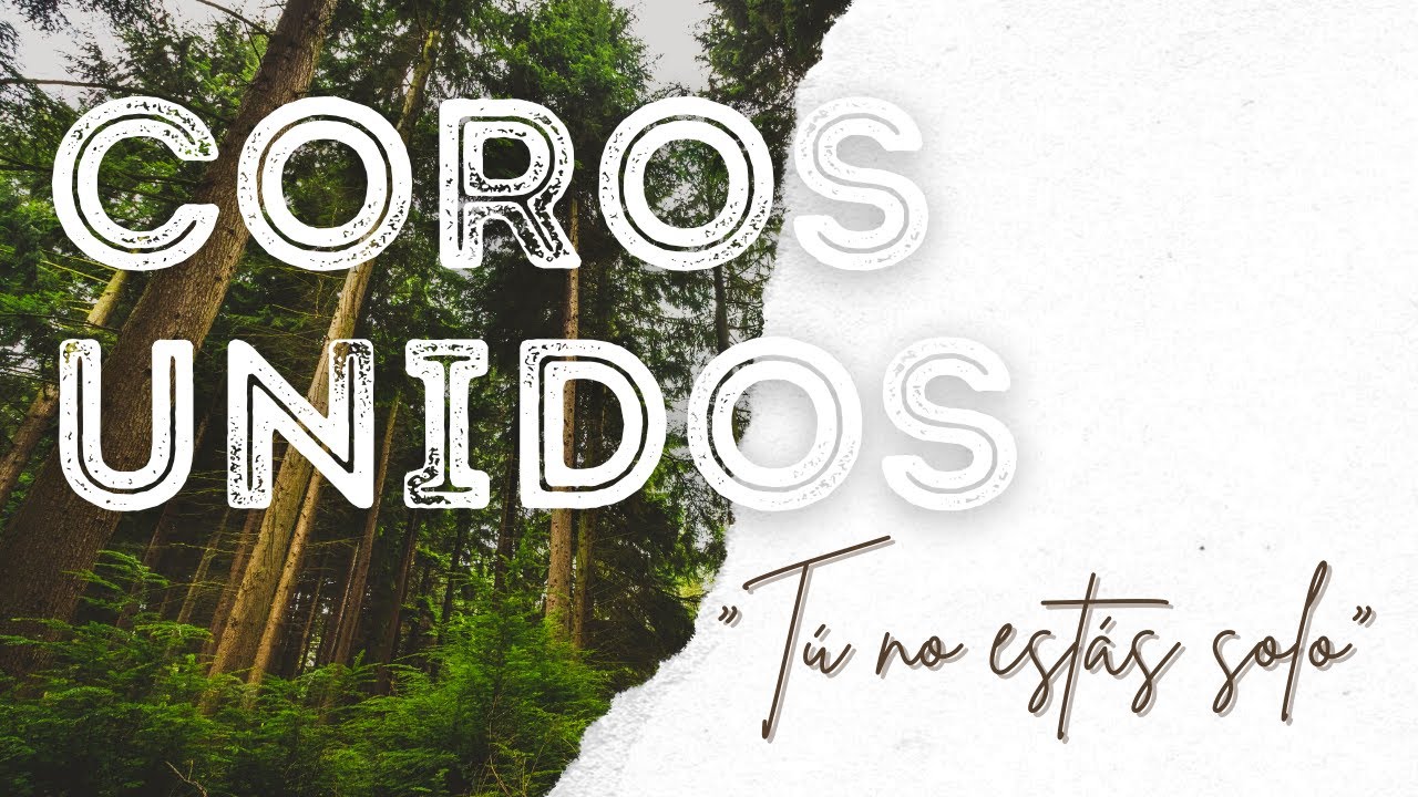 Coros Unidos IEP Sargento Aldea / Tu no estás solo