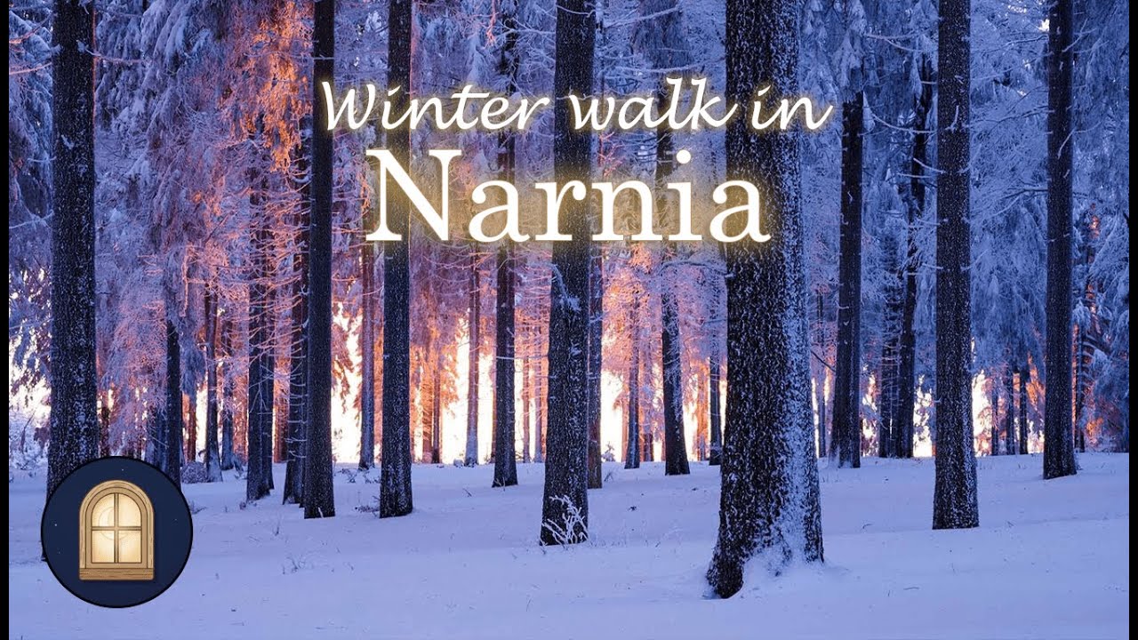A Winter Walk in Narnia ❄️ | Snow Footsteps & Forest Ambience