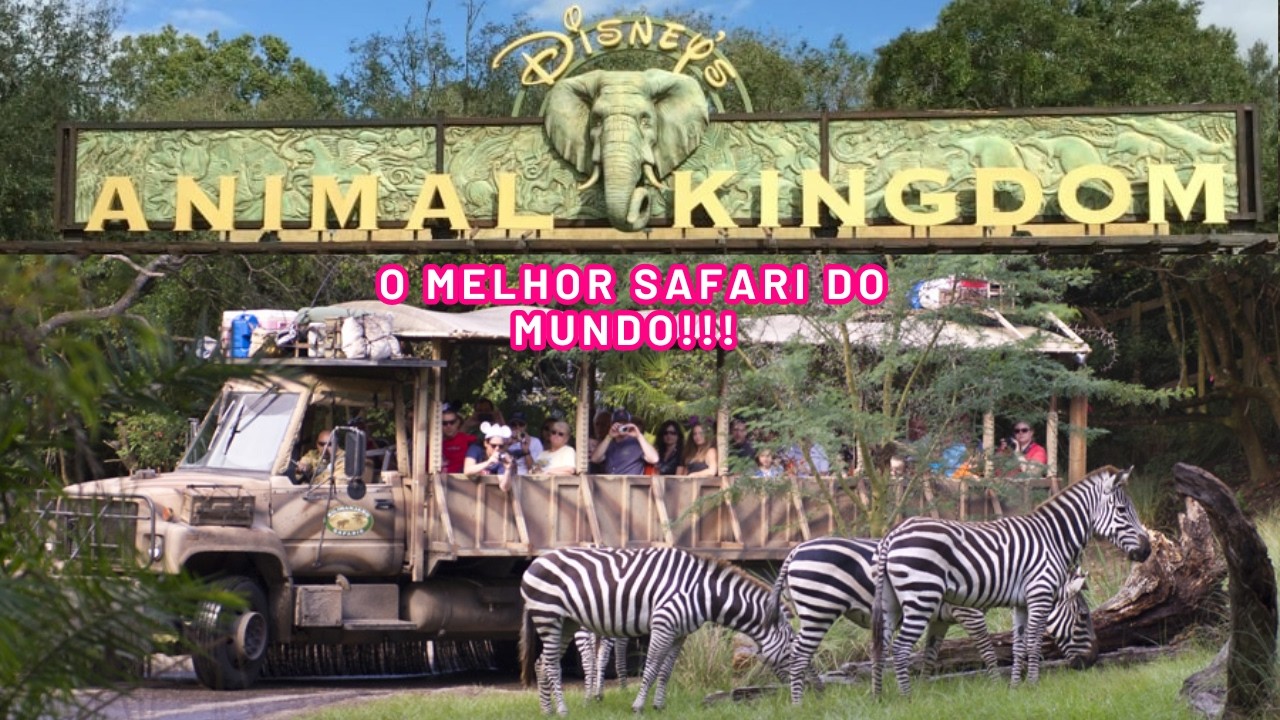 ‼️SAFARI do Park Animal Kingdom da Disney #safavi #trip #animalkingdom #animais #florida