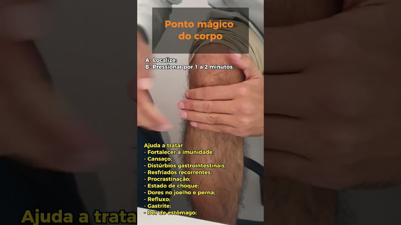 Pontos importantes da acupuntura - E 36 