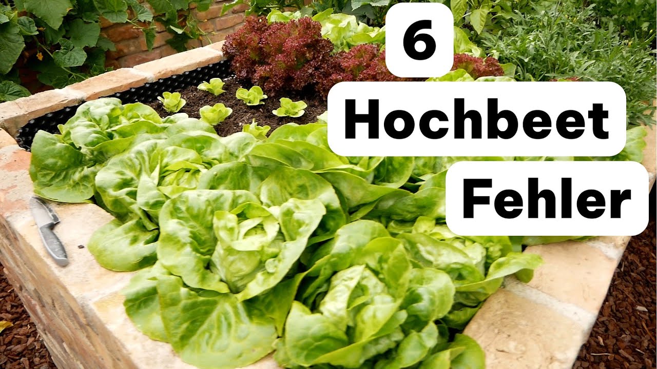 Vermeide diese 6 Fehler beim Hochbeet bauen!