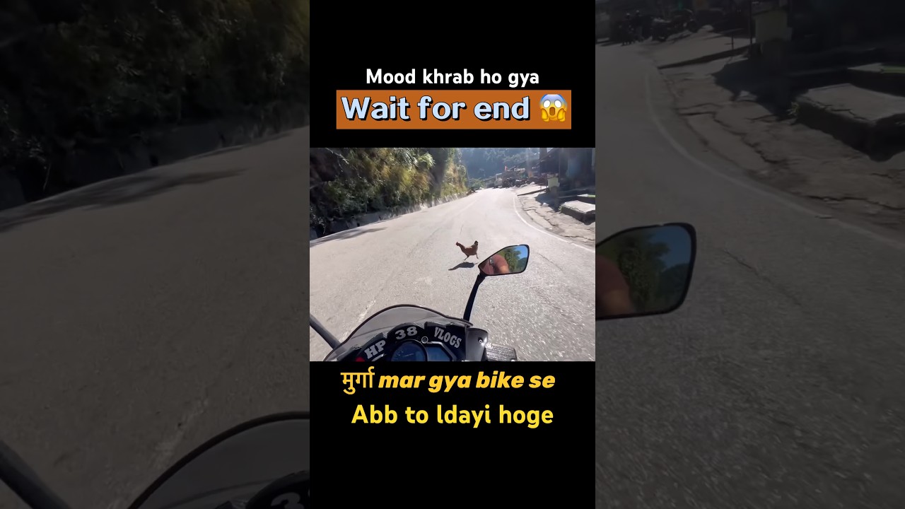 Cock 🐓 death on ride 