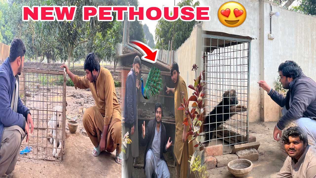 New Pet House Visit 😍
