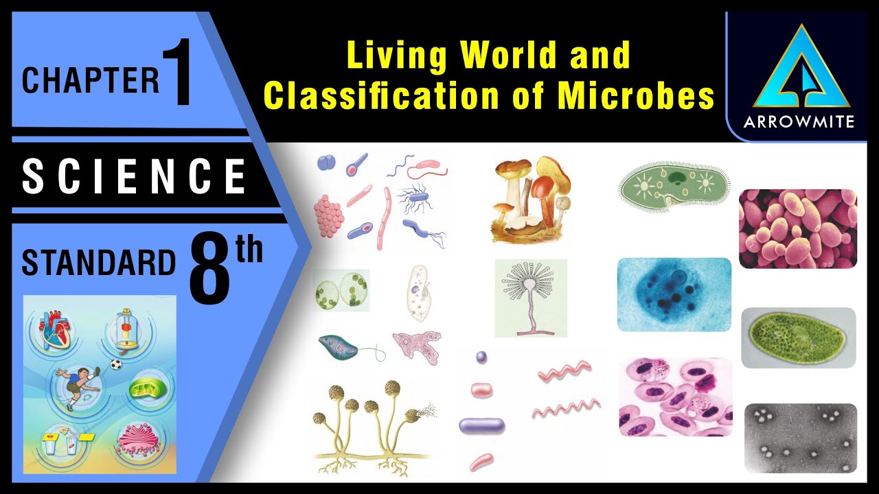 Living World and Classification of Microbes | Std 8 | Science | Ch.1 | Maharashtra Board