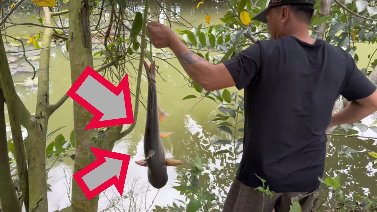 Dượng 4 đãi bọn ác món Canh Chua - Cá Kho ta nói nhức cái nách