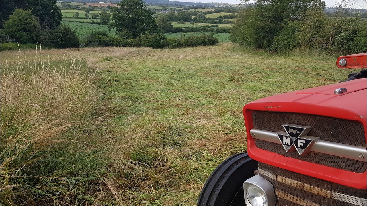 Massey Ferguson 135 Aktiv finger bar mower