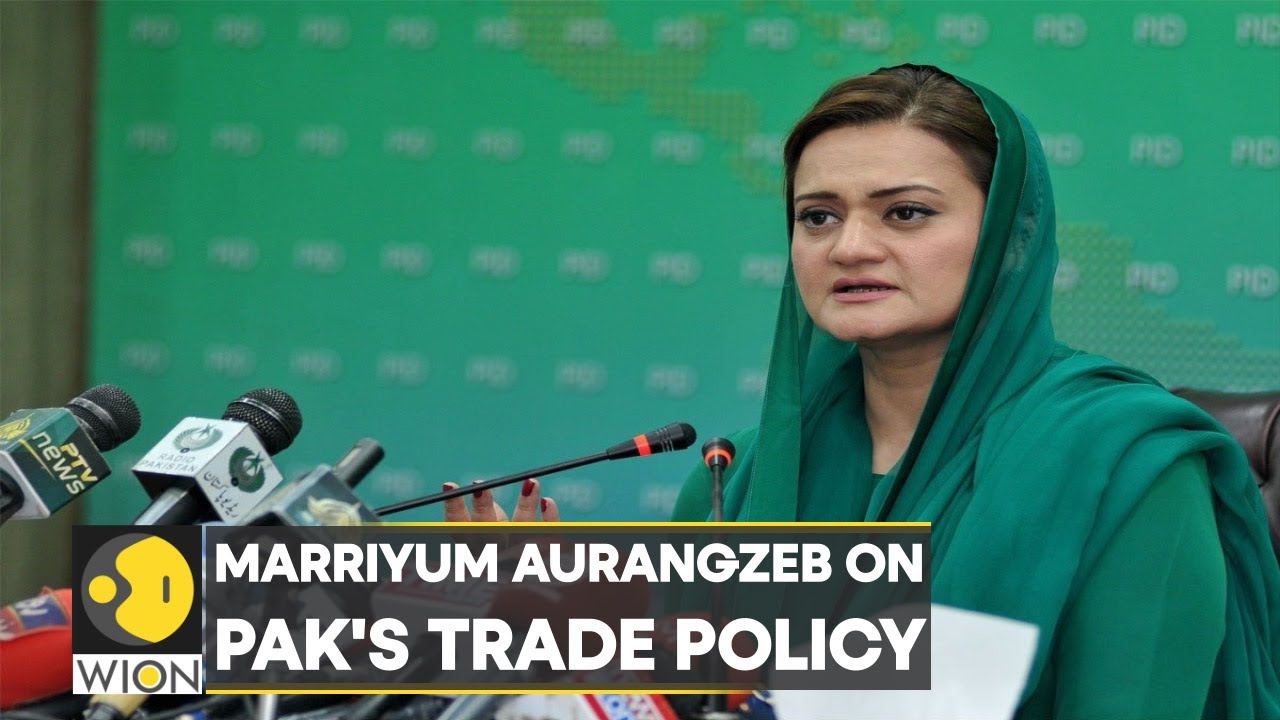 Pakistan Minister: Previous government responsible for economic fallout | Latest World News | WION