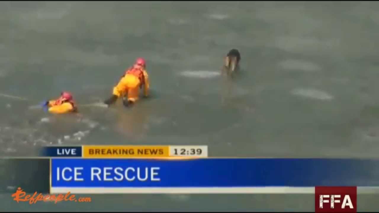 Restoring Faith in Humanity - part one