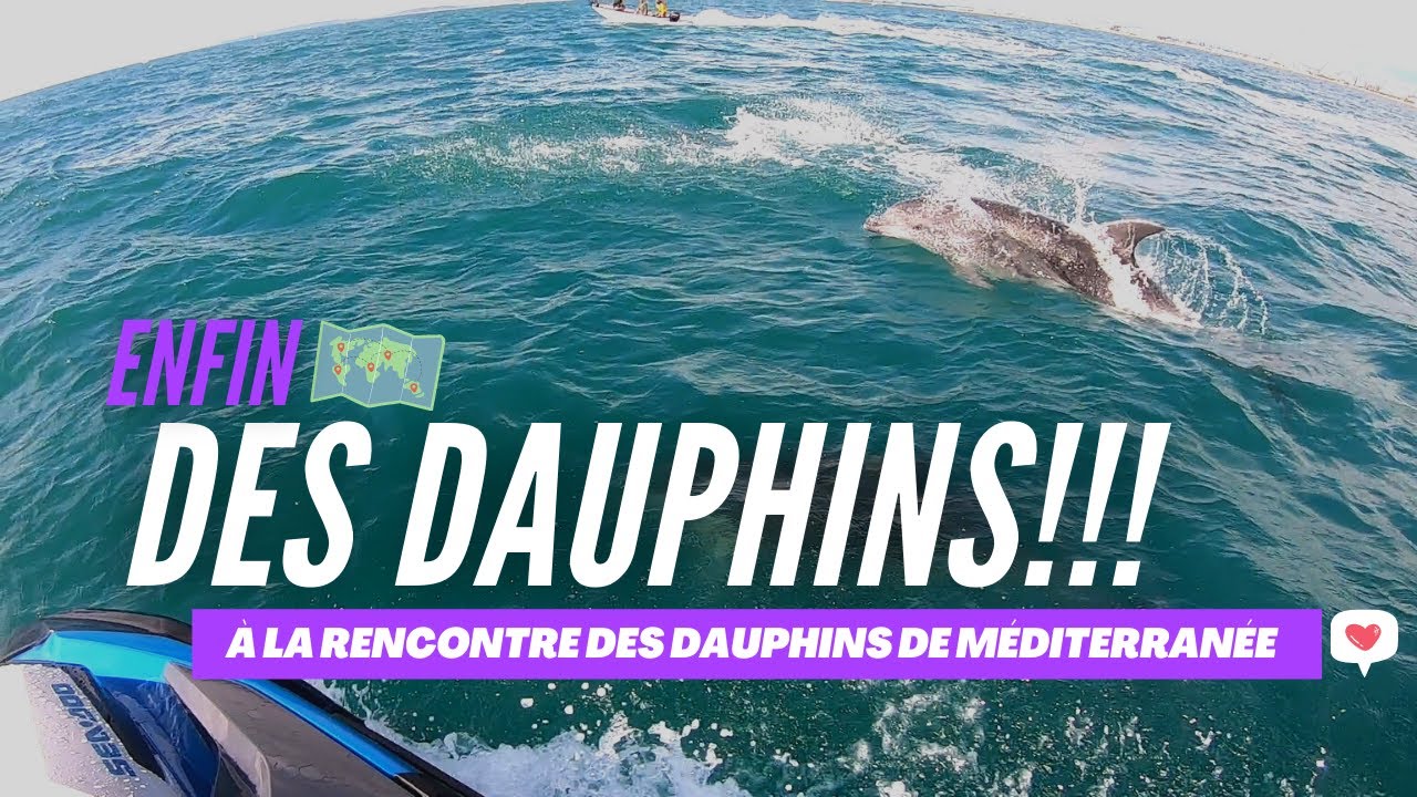[Sea-Doo] Des dauphins à La Grande-Motte.