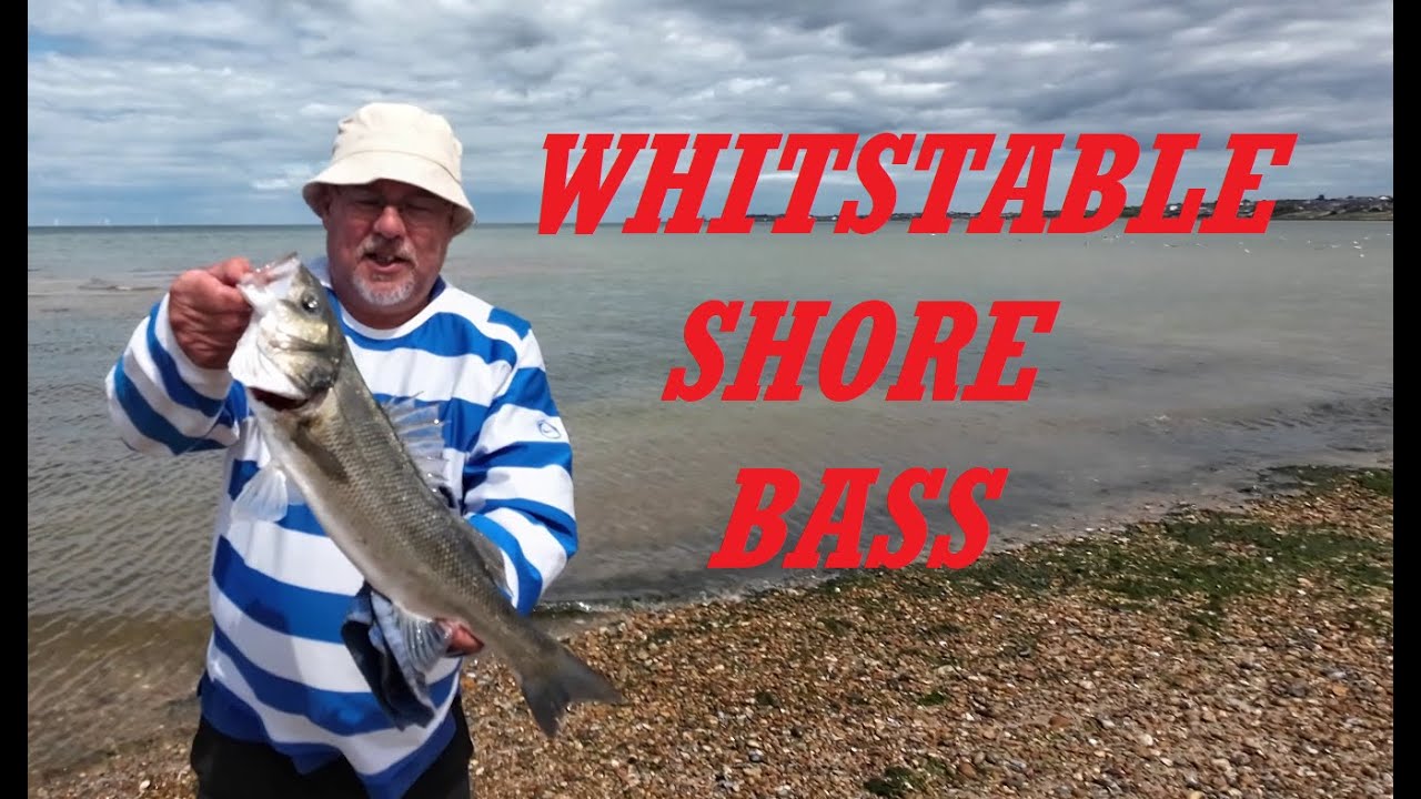 SEA FISHING UK WHITSTABLE BASS FISHING with the Priest and Baker fishing UK