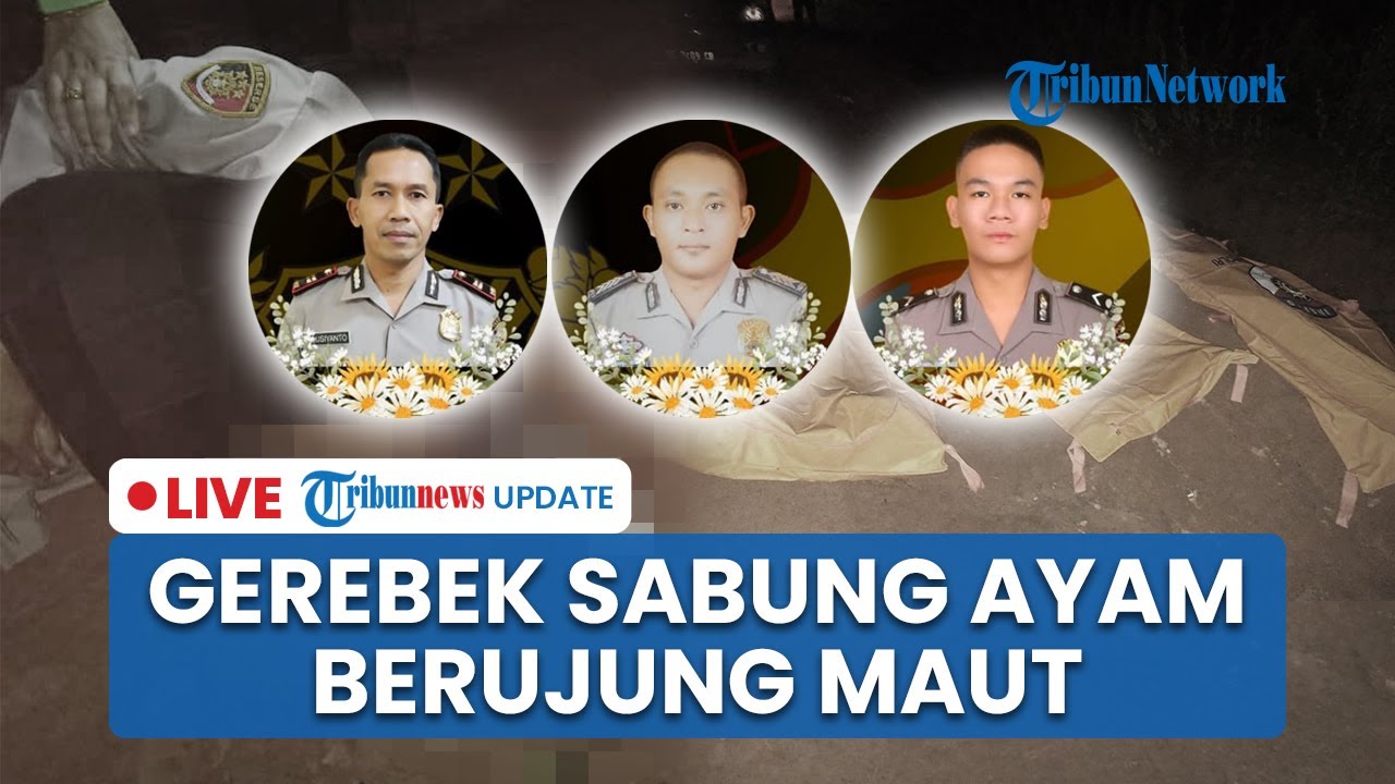🔴LIVE: 3 Polisi Tertembak saat Gerebek Judi Sabung Ayam di Way Kanan, Kapolsek Meninggal