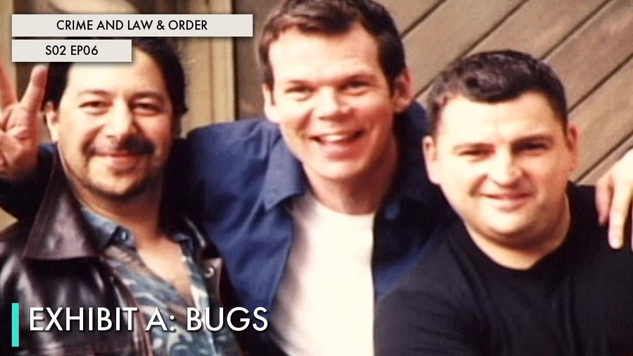 Exhibit A: Bugs