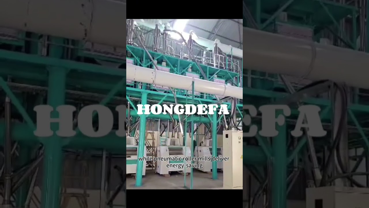 maize processing line  