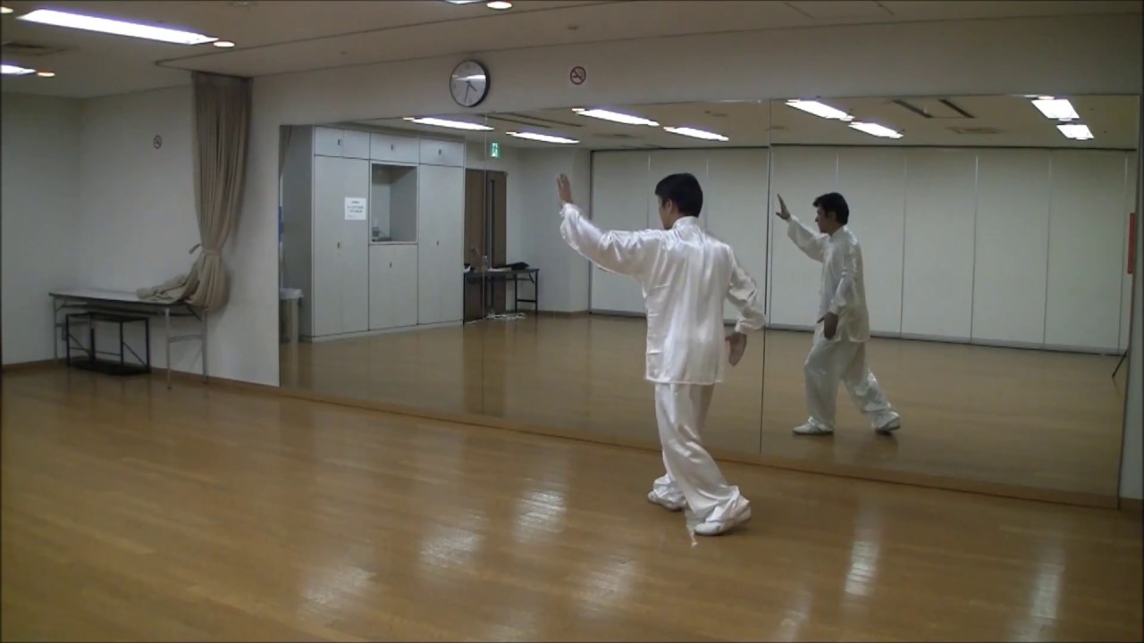 太極拳　４８式太極拳【鏡】５段（２９〜３６）解説誘導　48forms tai chi chuan　Group5　竹内太極拳　竹内健二