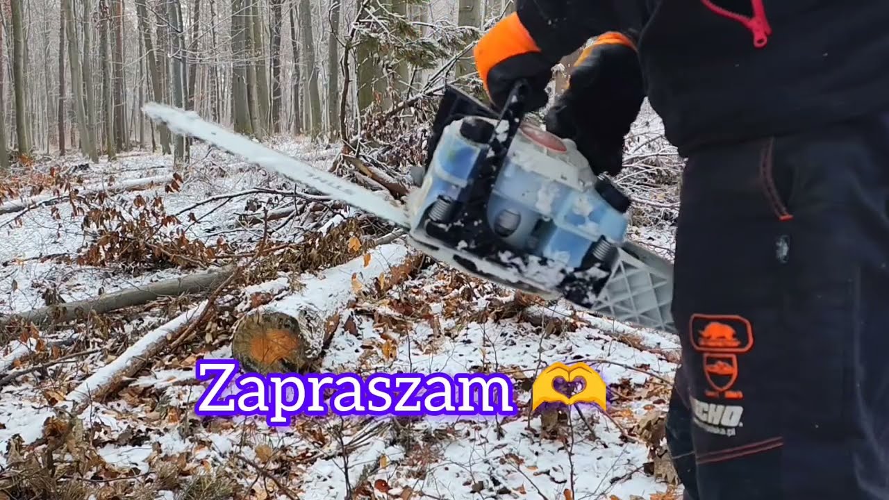 Jaki jest najtańszy Stihl MS162 Testy leśne 