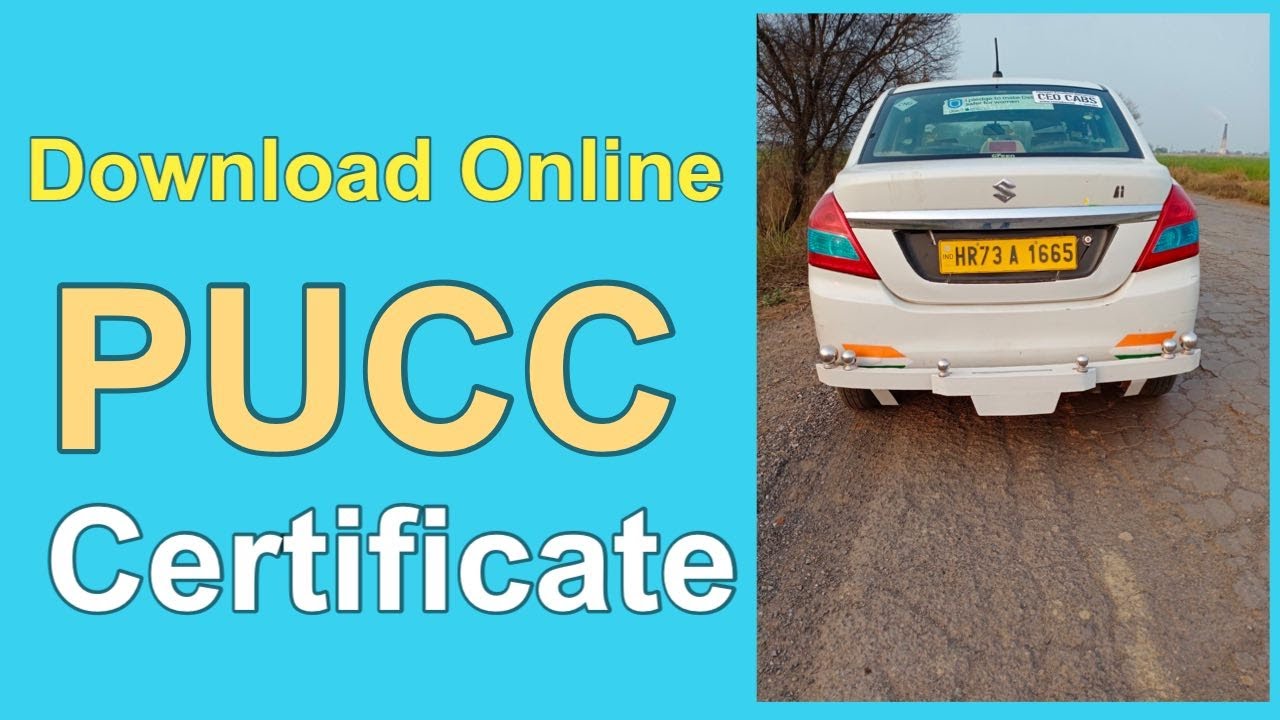 PUCC Certificate Download online @DigitalDocuments