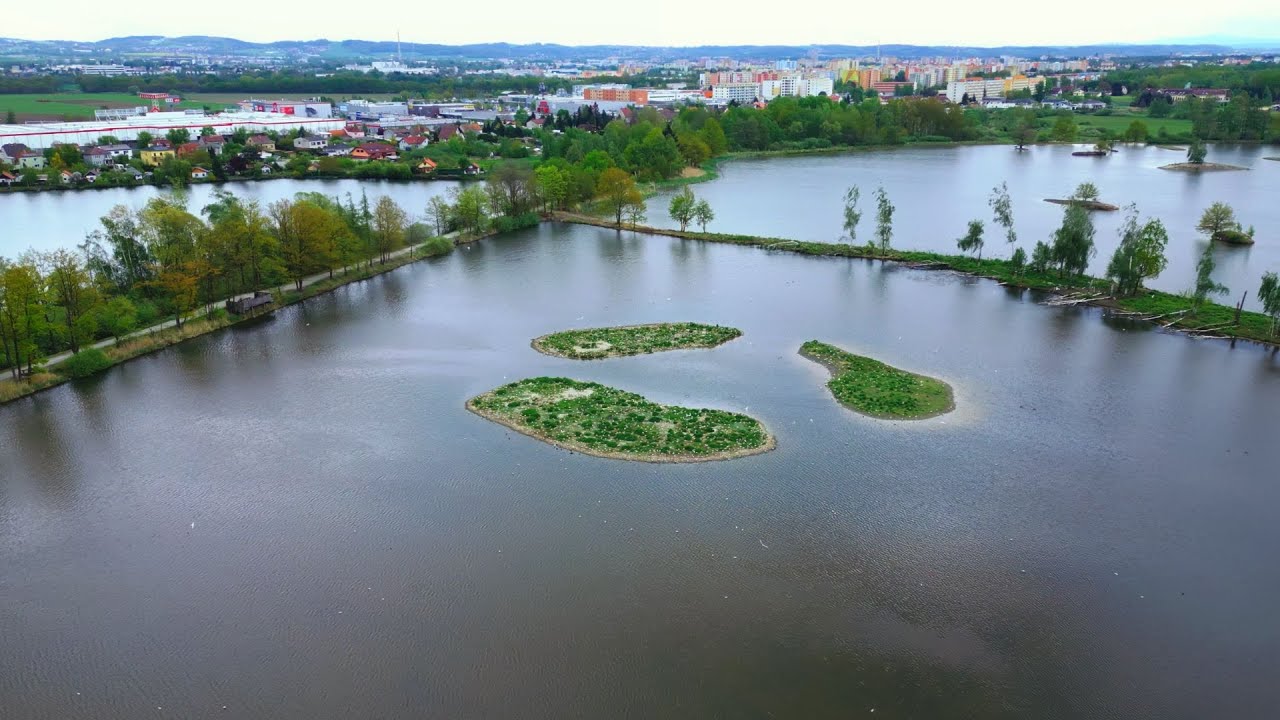 Na dosah s Prokopem Pithartem: Vrbenské rybníky