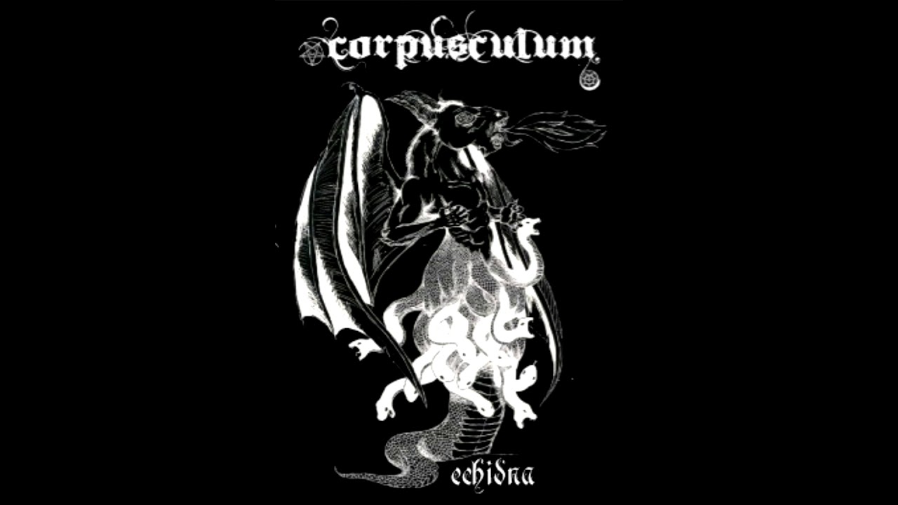Corpusculum - Echidna